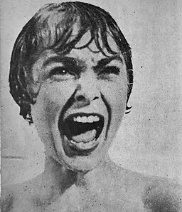Scène de la douche – Psychose